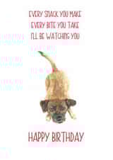 Happy Birthday from the Border Terrier created by Sarah Maddox