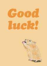 Praying Hamster Good Luck Card created by Martina Scott