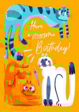 Have a pawsome birthday created by Nikita Van Den Bosch