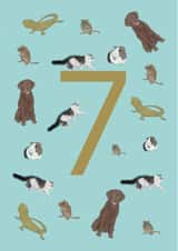 Pets and animals 7th birthday card created by Urban Collie