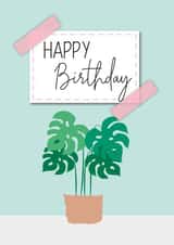 Monstera Swiss Cheese Plant Birthday Card created by Diary of a Craft Girl