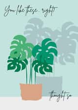 Monstera Swiss Cheese Plant Card created by Diary of a Craft Girl