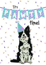 Cute Dog Border Collie Pawty Time Unisex Birthday Card for friends or family created by Toff London