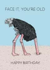Face It You're Old - Ostrich Birthday Card created by Martina Scott