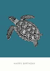 Arty Birthday Card - Turtle - Sealife - Shells created by Bird