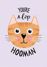 You're a Top Human cat card created by Leaf Lane Studio