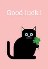 Black Cat Good Luck card created by Burridge Design