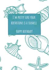 Seashell Birthstone Birthday Card! created by Sand and Seagull