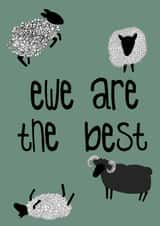 Ewe Are the Best created by Miasma