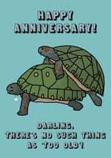 ‘No Such Thing As Too Old’ Anniversary Card created by Alice Ella