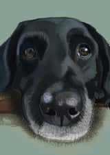 Black Labrador created by Higgledy Ink Illustration