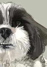 Shih Tzu  Card 1000 created by Higgledy Ink Illustration