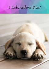 The Labrador  created by JamDesigns