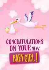 Congratulations on your new baby girl! created by Dibustock