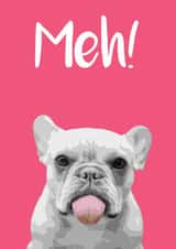 Meh! created by devoncow graphic design