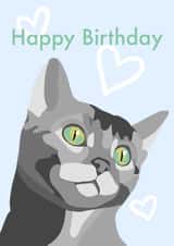 Cute Grey Cat Birthday Card 1001 created by Harley's Designs