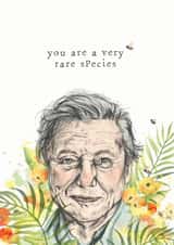 David Attenborough Father's Day Card 1000 created by Natalie Warren