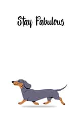 Stay Fabulous  created by Sean Ashton