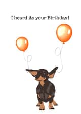 Party balloons and dachshund dog, Birthday Card created by Nicole's Designs