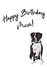 Dog Mum Birthday Card from Boxer created by Samantha Hart