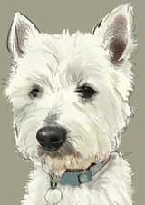West Highland Terrier Card  created by Higgledy Ink Illustration