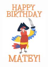 Pirate Parrot Birthday Card created by Jodie