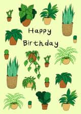 Happy Plant Birthday created by Helen Ridley Illustration