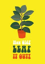 How Old? Funny Plant Pun Birthday Card created by Cloud Cuckoo Design