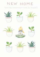 New Home means more room for plants! created by Carina Roberts