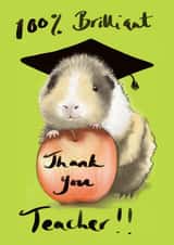 Thank You Guinea Pig Teacher created by The Good Guinea
