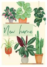 New Home, New House Plants created by Little Greenhouse Greetings