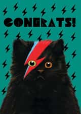 Congratulations Black Cat with Meowie Bolt created by @ChildstarSamantha