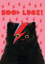 Good Luck Meowie Card created by @ChildstarSamantha