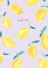 Good luck lemons created by Laura Pantony