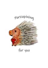 Porcupining for you, Love Card created by ME Illustrations