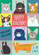 Meow! Meow! Birthday Card created by Sophie Crichton