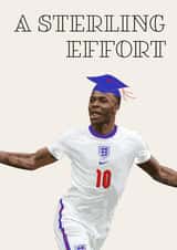 A Sterling Effort created by Carde Diem