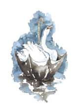 Swan Greetings Card  created by River Swan of Avon 