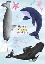 Whale Card created by Chloe Rolfe