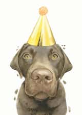 Chocolate Labrador Birthday Card created by Robert James Hull
