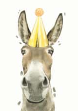Sweet Donkey Birthday Card created by Robert James Hull