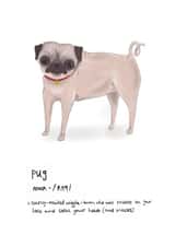 Pug Dictionary Definition funny card created by Vivi Lake
