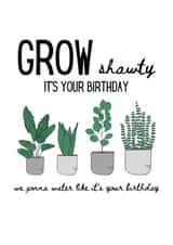 Grow Shawty, Pot Plants Birthday Card created by Kristin