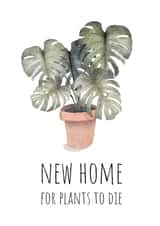 New home for dead plants created by AJ Creations