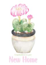 Housewarming Cactus Pot Plant created by Louise Brown