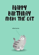 Moody Whatever Cat Birthday Wishes created by Dangerous Dave 