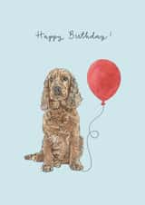 Cocker Spaniel Birthday Balloon Card created by Amelia Ilangaratne