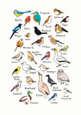 Arty Birthday Card - Birds - Hand Drawn created by Katie Moody