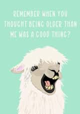 Funny Ageing Alpaca Card created by Daniella Illustrates 
