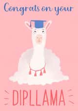 Dip-llama Graduation Card created by Bloom Illustrations